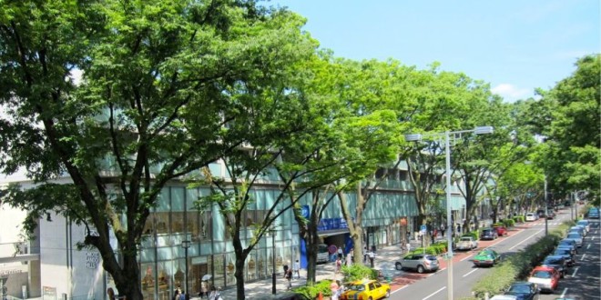 Webマガジン「ひかりのガーデン」をオープンしました